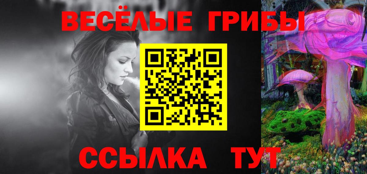 где найти   Псилоцибиновые грибы Psilocybe  Вход с VPN  Семилуки  Псилоцибиновые грибы Cubensis 